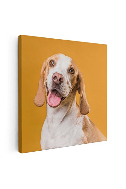 Tablou Canvas Tablou portret caine fundal ocru, cod 4262