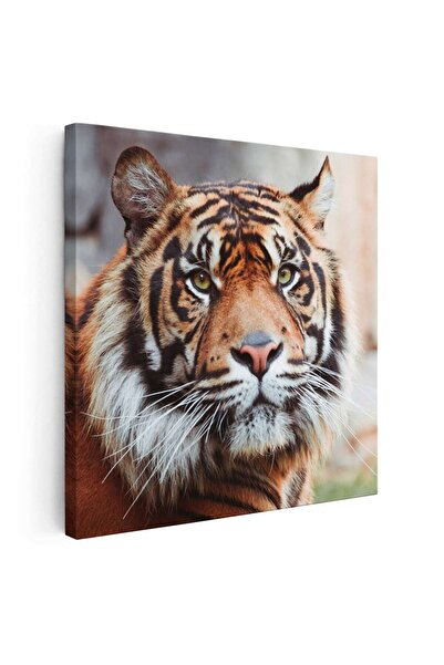 Tablou Canvas Tablou portret tigru de Sumatra, cod 3233