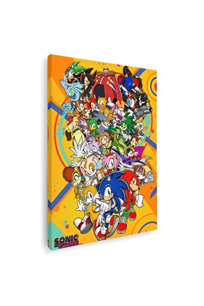 Tablou Canvas Sonic Ariciul, cod 3650