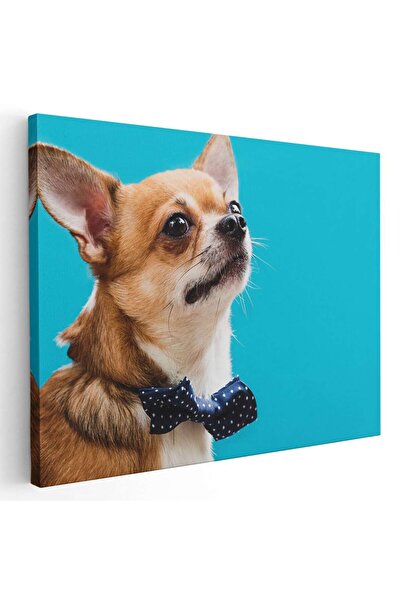 Tablou Canvas Tablou caine Chihuahua cu papion albastru, cod 4183