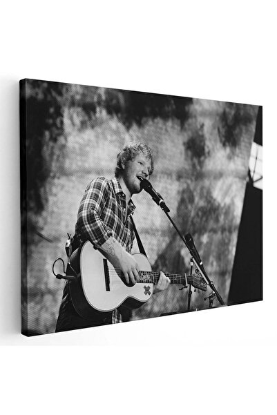 Tablou Canvas Ed Sheeran cantaret, cod 2284