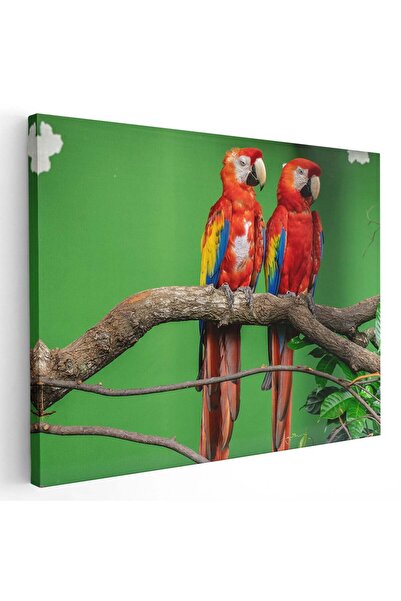 Tablou Canvas Tablou doi papagali Ara pe ramura, cod 5217