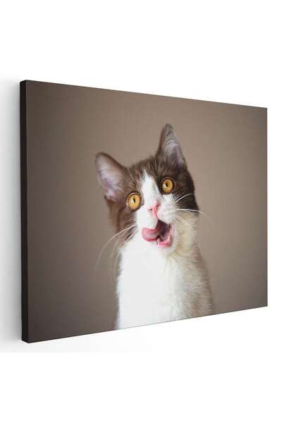 Tablou Canvas Tablou pisica maro cu alb cu limba scoasa pisici, cod 3071