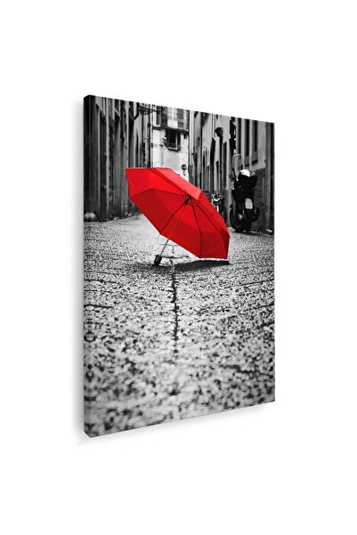 Tablou Canvas Tablou umbrela rosie pe strada, cod 4279