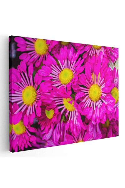 Tablou Canvas Tablou flori crizanteme roz, cod 2638