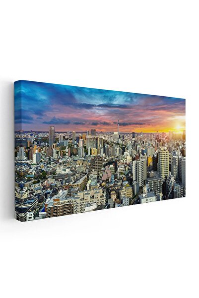 Tablou Canvas Tablou vedere panoramica Tokyo la apus, cod 4531