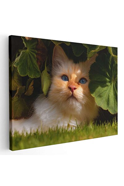 Tablou Canvas Tablou pisica crem printre frunze, cod 3062