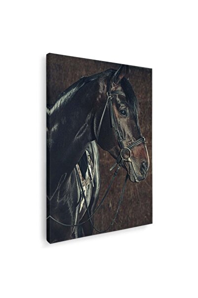 Tablou Canvas cal negru, cod 3053