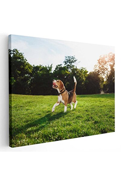 Tablou Canvas Tablou caine Beagle in natura, cod 4189