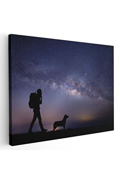 Tablou Canvas Tablou peisaj nocturn tanar drumet cu cainele sau, cod 4400
