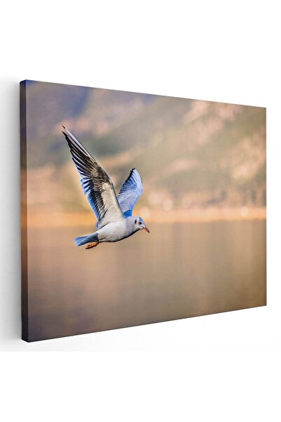 Tablou Canvas Tablou pasare pescarus in zbor, cod 5211