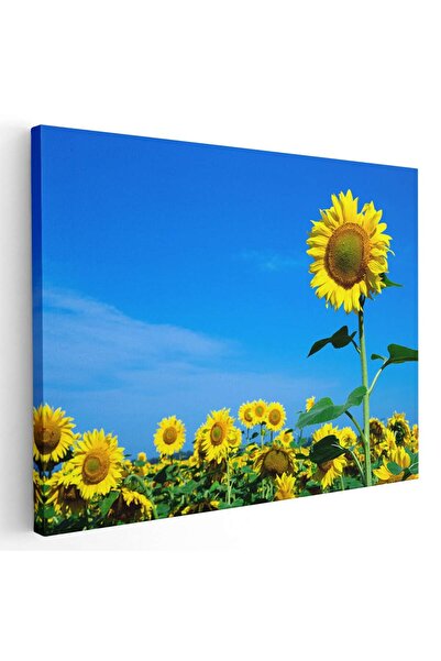 Tablou Canvas Tablou peisaj floarea soarelui, cod 2619