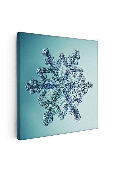 Tablou Canvas Tablou fulg de zapada gheata, cod 1707