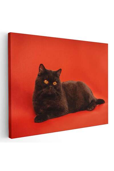 Tablou Canvas Tablou pisica neagra pe fundal rosu, cod 4201