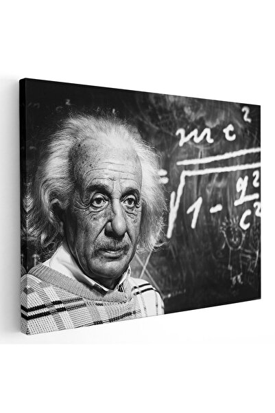 Tablou Canvas Tablou Albert Einstein, cod 1883