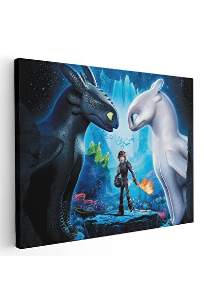 Tablou Canvas Tablou Cum sa iti dresezi dragonul desene animate, cod 4878