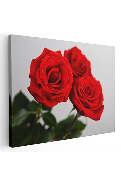 Tablou Canvas Tablou flori trandafiri rosii, cod 2636