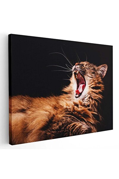 Tablou Canvas Tablou pisica maro cascand, cod 3065