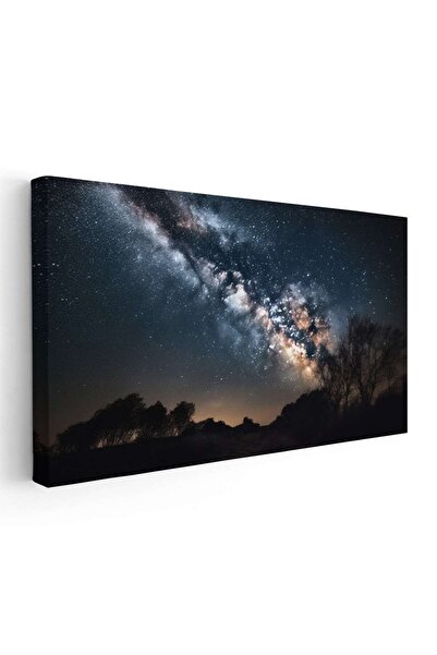 Tablou Canvas Tablou peisaj padure Calea Lactee, cod 5333