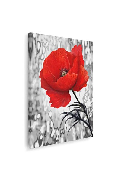 Tablou Canvas Tablou floare de mac rosie, cod 4289