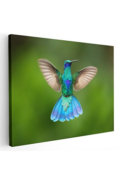 Tablou Canvas Tablou pasare colibri in zbor, cod 1919