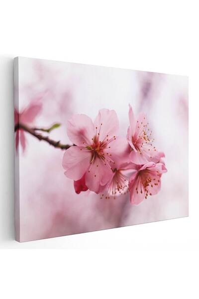 Tablou Canvas Tablou flori de cires inflorit, cod 2646