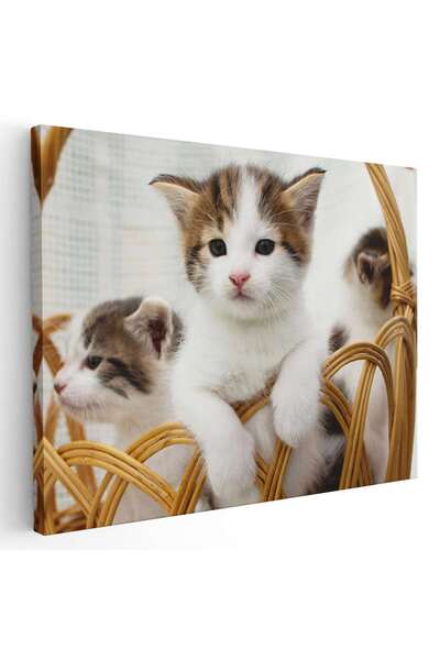 Tablou Canvas Tablou 3 pisicute in cosulet, cod 3066