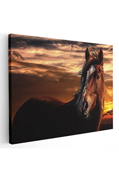 Tablou Canvas Tablou cal maro roscat la apus, cod 3041