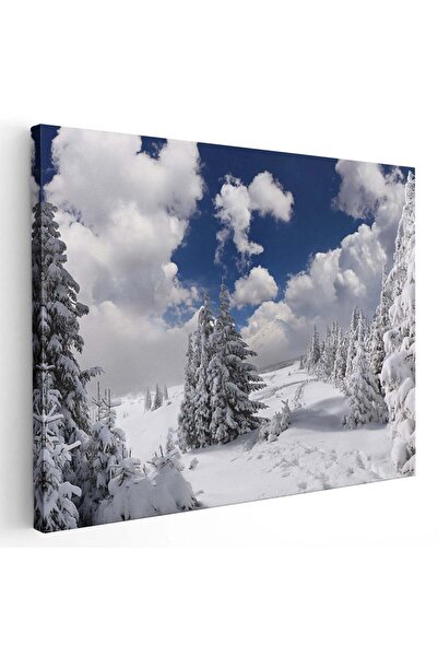 Tablou Canvas Tablou peisaj brazi iarna, cod 2731