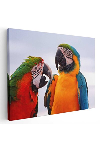 Tablou Canvas Tablou pasari papagali Ara, cod 5256