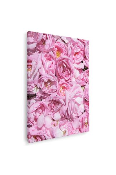 Tablou Canvas Tablou flori trandafiri roz, cod 2681