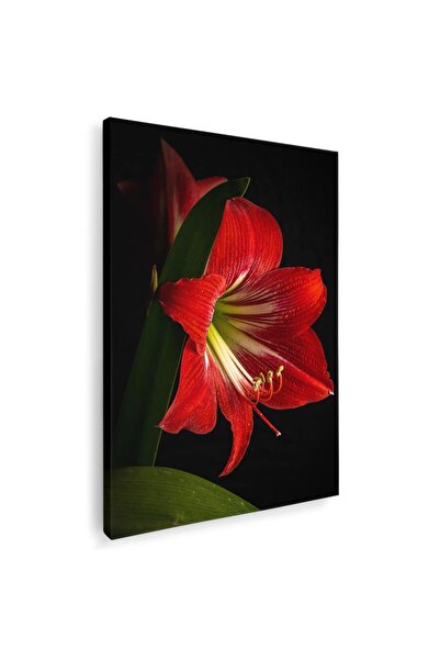 Tablou Canvas Tablou floare crin rosu, cod 2608