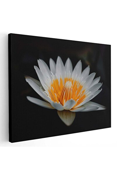 Tablou Canvas Tablou floare de lotus alb, cod 2666