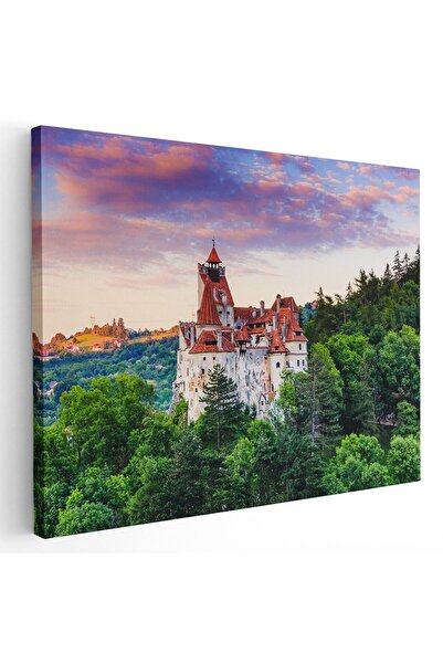 Tablou Canvas Tablou Castelul Bran la apus, Romania, verde, cod 1531