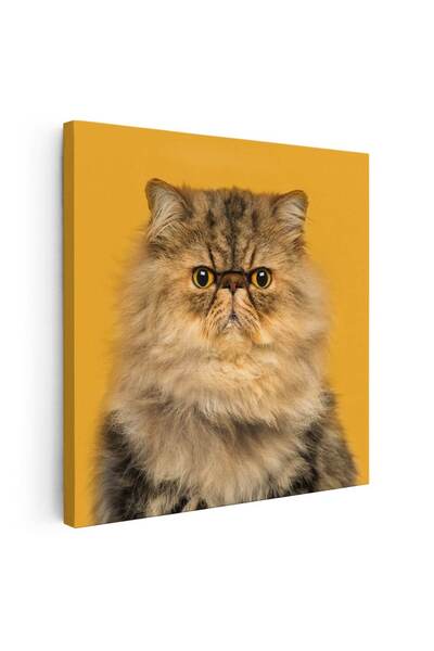 Tablou Canvas Tablou portret pisica persana, cod 4222