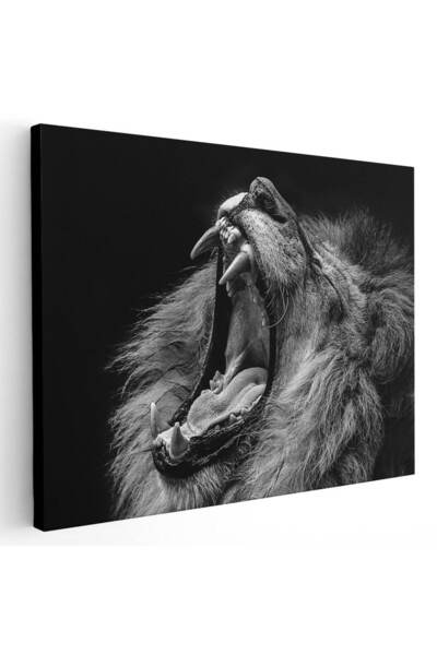 Tablou Canvas Tablou leu cascand, cod 3243