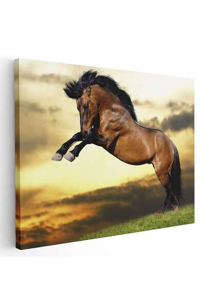 Tablou Canvas Tablou cal brun roscat (murg) la apus, cod 3048