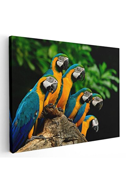 Tablou Canvas Tablou papagali Ara albastru galben pe creanga, cod 1588