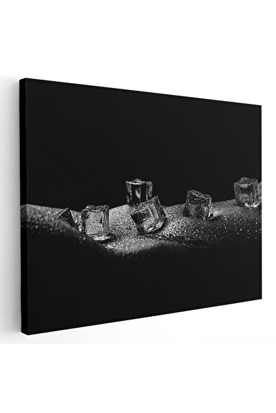 Tablou Canvas nud femeie solduri gheata alb negru, cod 1143