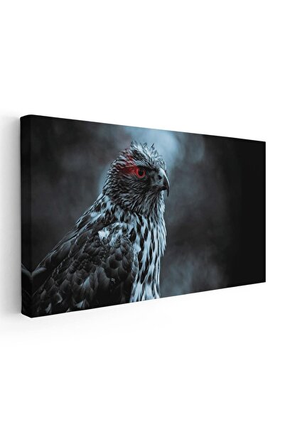 Tablou Canvas Tablou pasare soim cu ochi rosii, cod 5209