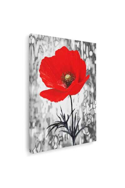 Tablou Canvas Tablou floare de mac rosie, cod 4284