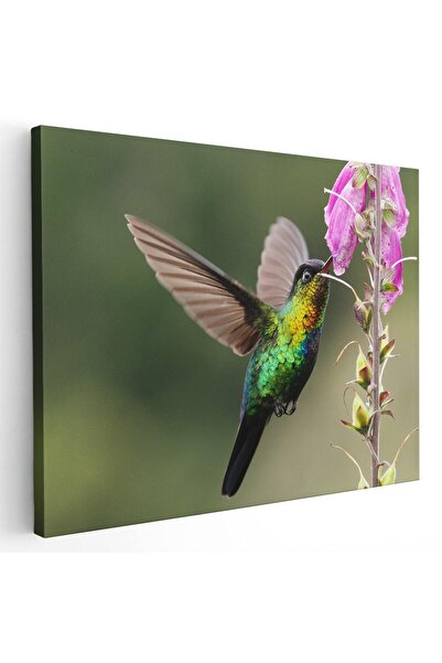 Tablou Canvas Tablou pasare colibri in zbor roz verde, cod 1917