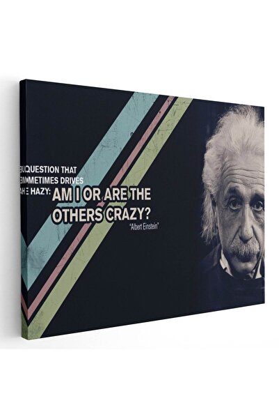 Tablou Canvas Tablou Albert Einstein mesaj motivational, cod 2688