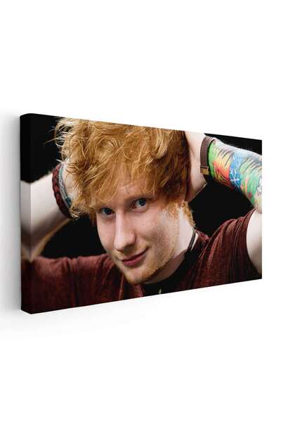 Tablou Canvas Ed Sheeran cantaret, cod 2404