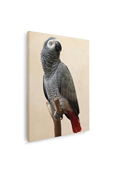 Tablou Canvas Tablou pasare papagal gri african, cod 5223
