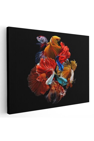 Tablou Canvas Tablou pesti luptatori siamezi, multicolor, cod 1608