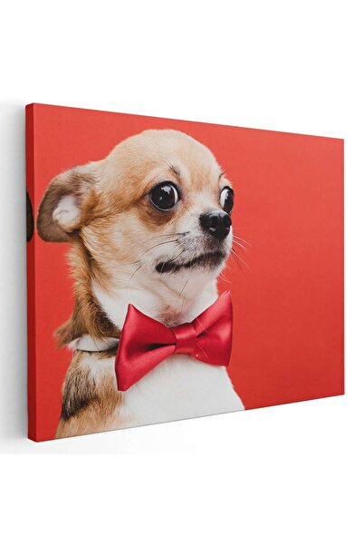 Tablou Canvas Tablou caine Chihuahua cu papion rosu, cod 4182