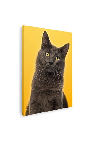 Tablou Canvas Tablou pisica maro cu ochi galbeni pisici, cod 3076