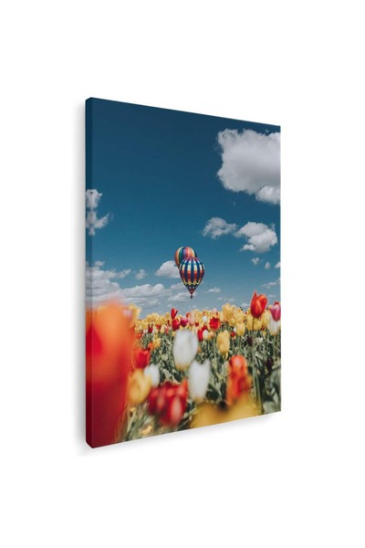 Tablou Canvas Tablou peisaj lalele si baloane cu aer cald, cod 4484