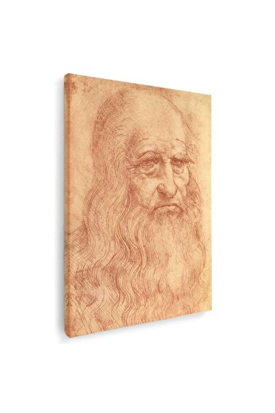 Tablou Canvas Tablou Autoportret de Leonardo da Vinci, cod 2023